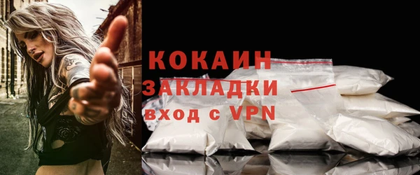 прущие грибы Верхний Тагил