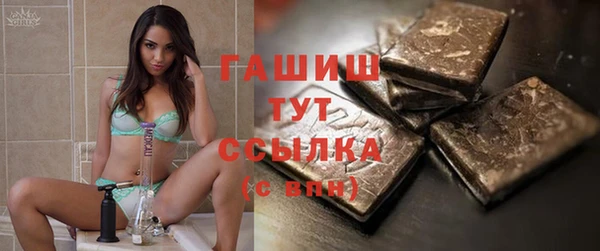 прущие грибы Верхний Тагил