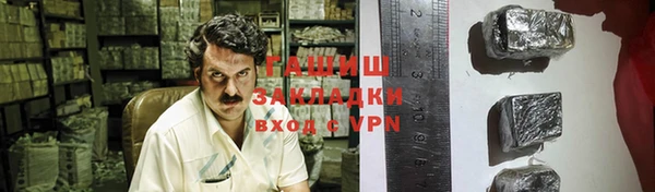 прущие грибы Верхний Тагил