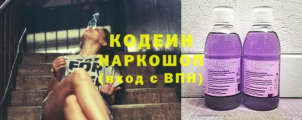 прущие грибы Верхний Тагил