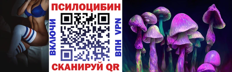Галлюциногенные грибы мицелий  дарнет шоп  Северобайкальск 