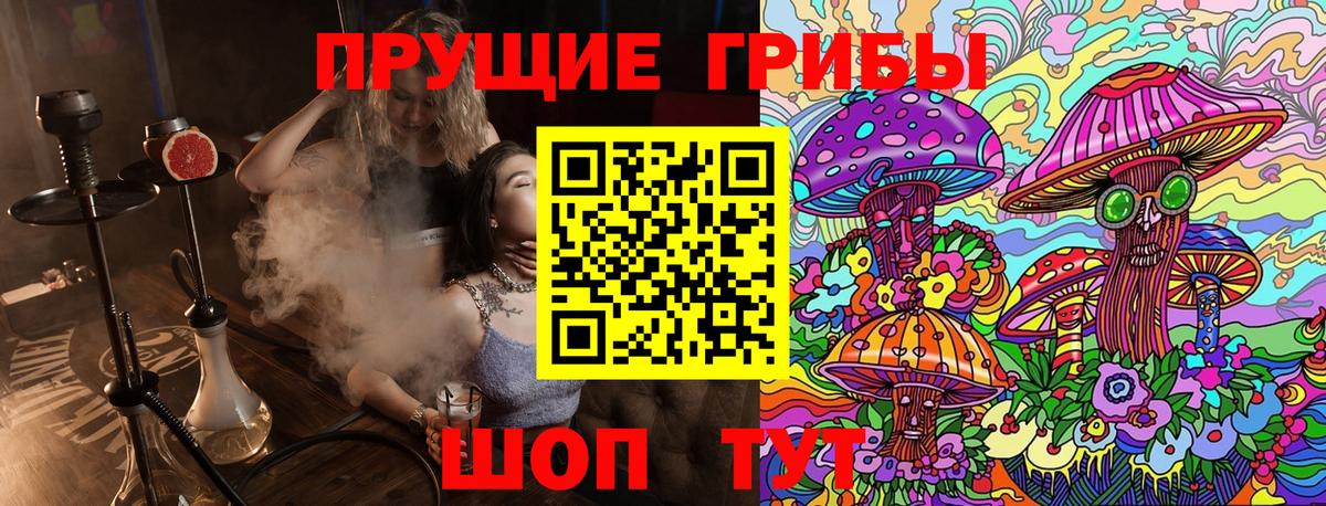 Галлюциногенные грибы MAGIC MUSHROOMS Северобайкальск