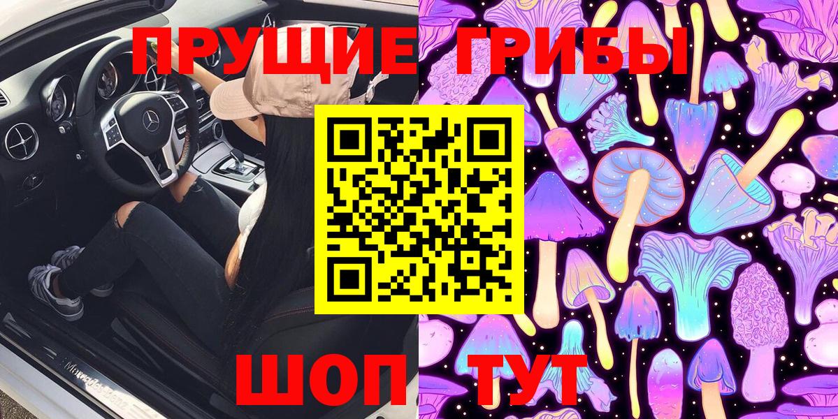 Галлюциногенные грибы Psilocybine cubensis  Вход с VPN  Северобайкальск 